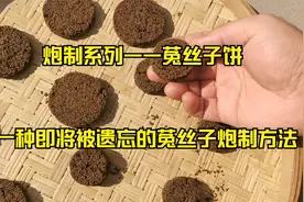 炮制系列——菟丝子饼：拾遗一种即将被遗忘的菟丝子炮制方法视频封面