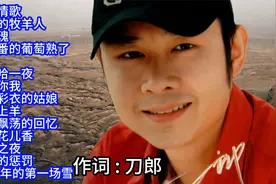 刀郎经典歌曲精选14首联唱