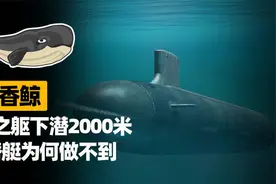 鲸鱼可以下潜2000米，为何核潜艇钢铁之躯却做不到？视频封面