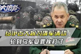 绍伊古大将为俄军请功，俄军撑到了局势逆转，轮到乌军受罪挨打了视频封面