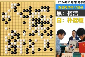 柯洁南洋杯最逆天险局：狂飙被揍，中盘浪翻，百目骗招，拖垮廷桓视频封面