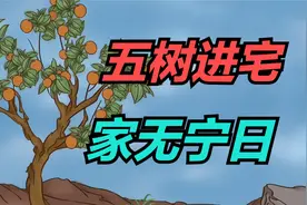 “五树进宅，家无宁日”，不管院子多大，这5种树不要栽种！视频封面