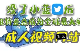 没了小蓝鸟后，推特差点成为全球最大的成人视频网站视频封面