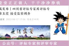 监委通报：四川又一个评标专家涉嫌严重违法，接受监委调查！视频封面