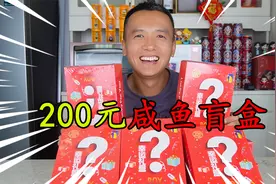 花200元买了10个“咸鱼盲盒”，号称能咸鱼翻身，是真的吗？视频封面