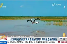 山东政协委员建言黄河流域生态保护，擦亮生态保护底色视频封面