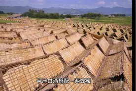 南雄烟丝，烟丝蒸出的香气让人着迷！视频封面