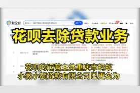 花呗借呗去除贷款业务，或转型为科技和信息服务公司