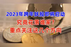 2023年跨年妖股即将诞生，究竟花落谁家，重点关注这几个板块！视频封面