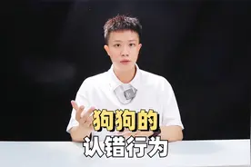 看完狗狗这些认错方式，你会原谅它吗？视频封面
