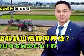 水稻收割后如何养地？看看日本农民是如何干的！值得学习视频封面