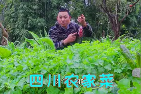 四川农家芹菜炒牛肉，鲜嫩爽滑牛肉不脱浆，真的是吃不腻的味道