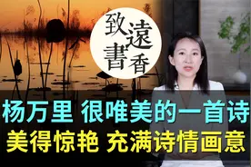 杨万里很唯美的一首诗，每一句都充满了诗情画意，美得令人惊艳！