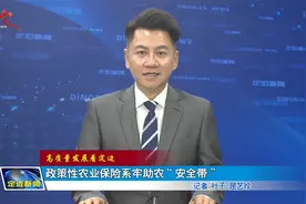 政策性农业保险系牢助农“安全带”视频封面