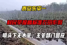 泰安东平一村民举报高标准农田作假、喷头下无水管，主管部门回应视频封面