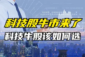 A股科技股牛市来了！科技牛股该如何选？视频封面