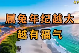 60岁以上的属兔的福气满满视频封面