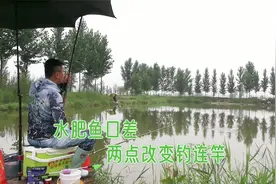 河道水肥鱼不开口，做出这两方面调整，水肥一样可以钓过瘾视频封面