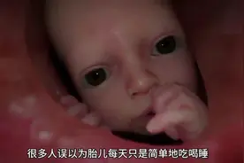 你知道胎儿每天在妈妈肚子里做些什么吗？  #科普 #涨知识视频封面