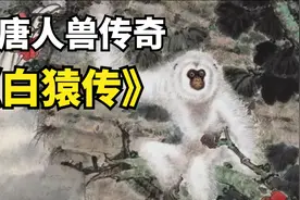大唐人兽实验，知名书法家欧阳询或是人猿后代？视频封面