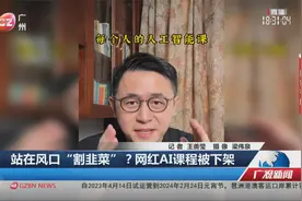 站在风口“割韭菜”？网红AI课程被下架02视频封面