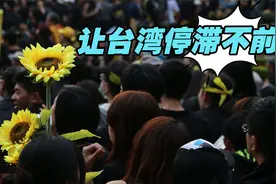 反服贸反大陆，“太阳花运动”让台湾停滞不前视频封面