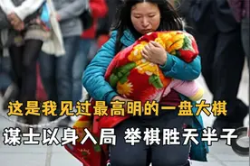 这是我见过最高级的阳谋，谋士以身入局，举棋胜天半子视频封面