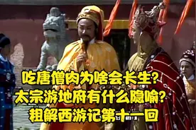 吃唐僧肉为啥会长生？太宗游地府有什么隐喻？粗解西游记第十一回视频封面