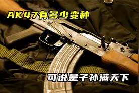 AK47有多少变种，可说是子孙满天下视频封面