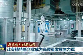 【“小巨人”迸发大能量 中小企业成为高质量发展生力军】视频封面