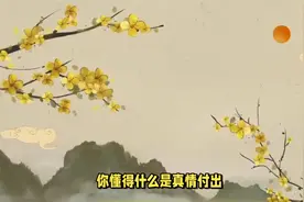 欲买桂花同载酒，终不似，少年游——《唐多令》视频封面