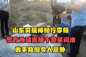 山东突现神秘行李箱，警方为破案抽干整条河水，凶手身份令人意外视频封面
