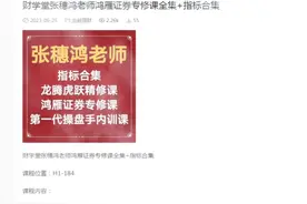 财学堂张穗鸿老师课程全集视频封面