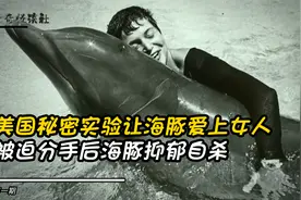 1963老美秘密实验失败，导致海豚爱上女子，与女子分手后抑郁自杀视频封面