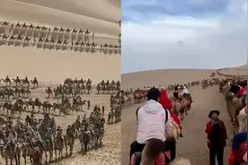 甘肃敦煌又现骆驼大队 壮大望不到边 网友：走出了丝绸之路既视感视频封面