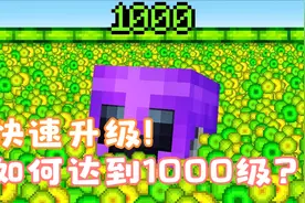 论如何在我的世界中快速升级到1000级？视频封面