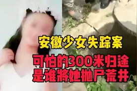 安徽少女失踪案：可怕的300米归途，是谁将她抛尸荒井？视频封面