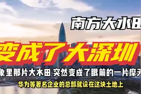 南方大水田变成了深圳，蒋开儒《春天的故事》背后的故事!视频封面