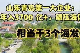 山东青岛第一大企业：年入3700 亿+，碾压海信，相当于3个海发视频封面