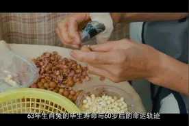 63年生肖兔的毕生寿命，过了60岁后什么命？句句说到心坎里视频封面