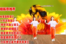 新歌推荐 八首好听DJ新歌《我是真的太累了》就是要开心的活视频封面
