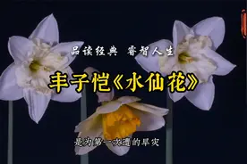 【经典散文】丰子恺《水仙花》视频封面