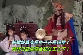 胡媚娘真身之谜，她是兔子还是狐狸？难怪只能屈尊金钹法王之下！视频封面