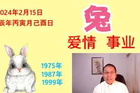 生肖兔2024年爱情与事业双喜临门视频封面