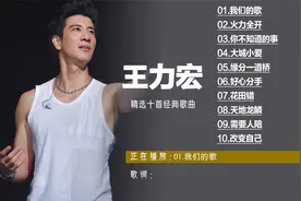 王力宏最好听的十首歌经典歌曲合集火力全开 天地龙鳞 我们的歌视频封面