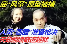 卧底“风筝”原型被捕，毛人凤准备枪决，当天却翻墙奇迹越狱视频封面