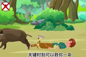 野外丛林求生法则，当你遇到这种情况，可以救你一命（2）视频封面