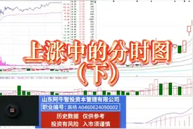 上涨中的分时图（下）视频封面