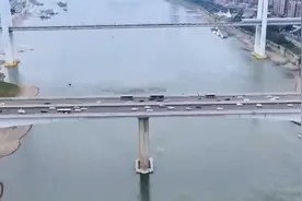胖猫事件上央视新闻，被批浪费90多吨粮食！视频封面