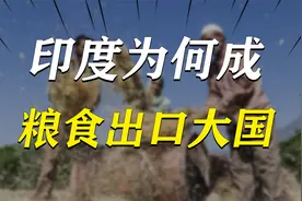 印度粮食产量远不及中国，3500万人饿肚子，为何能成粮食出口大国视频封面
